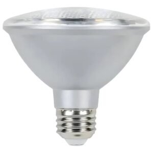 Lâmpada Halopar 30 Super LED Bivolt Branco Frio