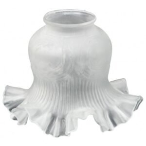 Tulipa Fosca Caracol sem colar