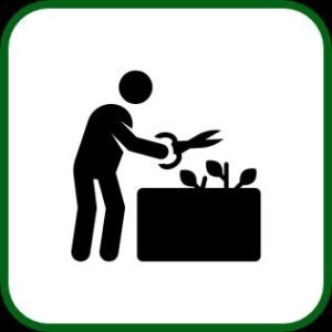 Jardinagem e Controle de Pragas